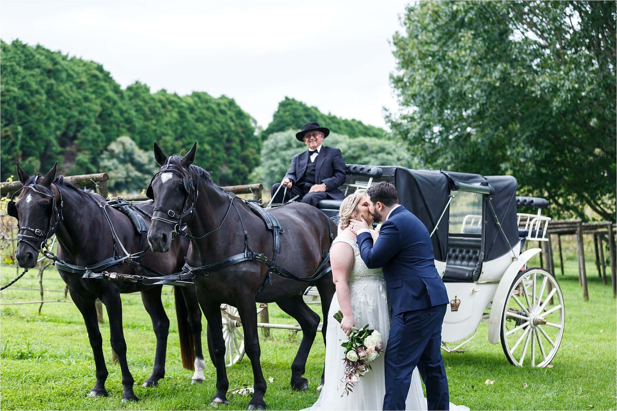 Cedar Creek Estate Winery Wedding Photography with horse and carriage wedding transport.