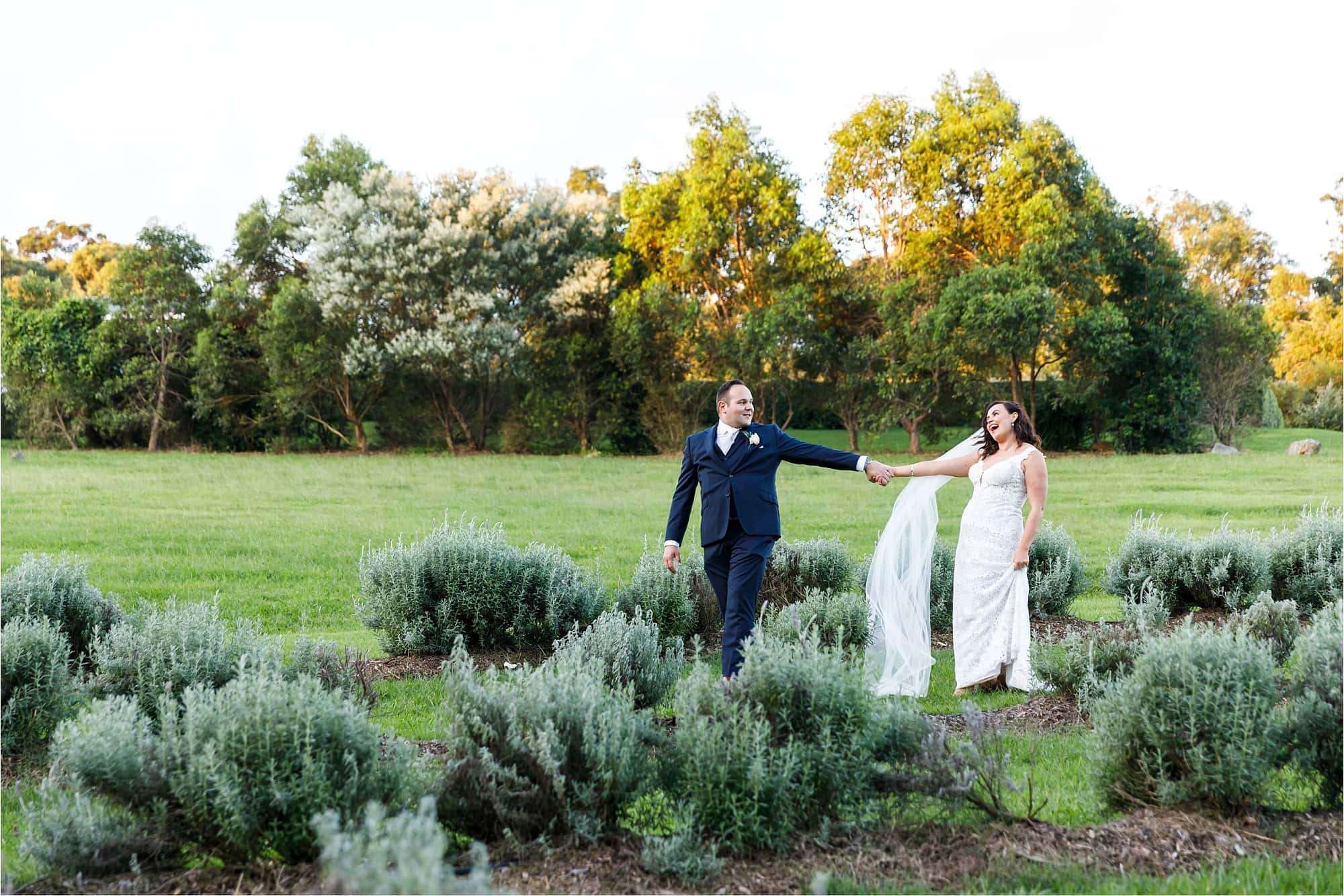 Bridal couple at Sirromet Wines, in the lavender fields.
