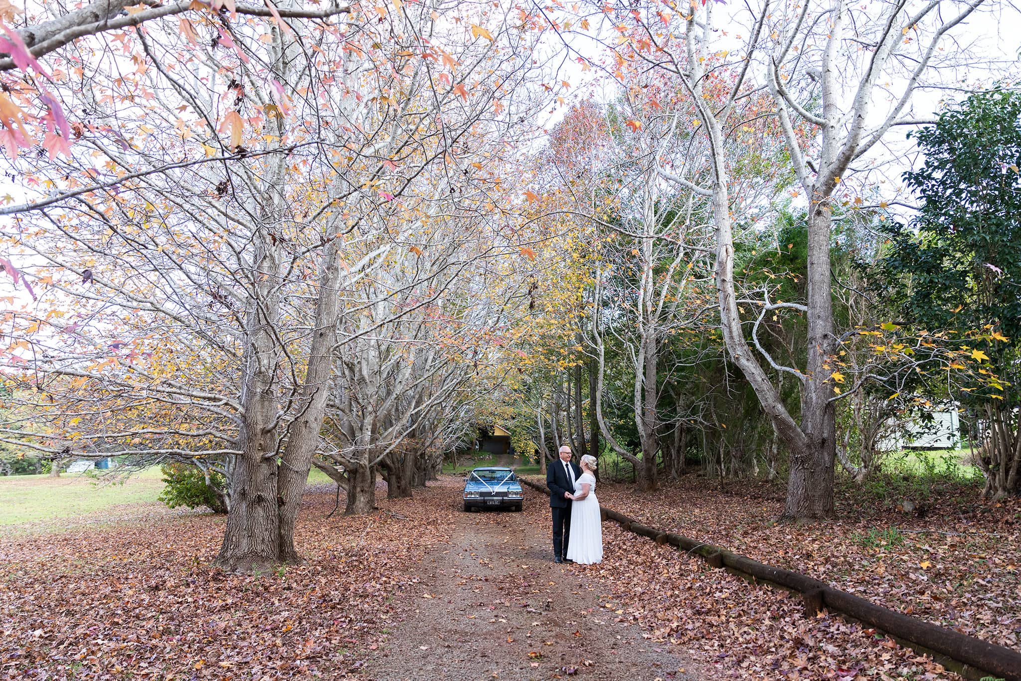 Wedding bridal first look before the ceremony, at Tamborine Mountain.