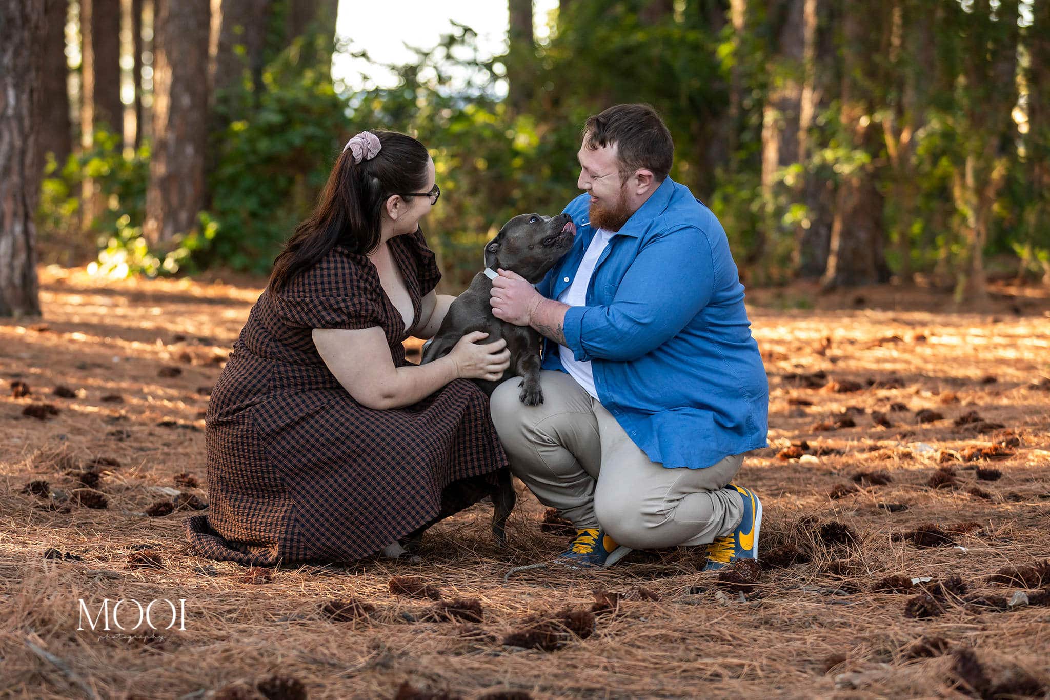 Engagement shoot at Pizzey Park with Tahlia and Peter and their fur baby Riley.