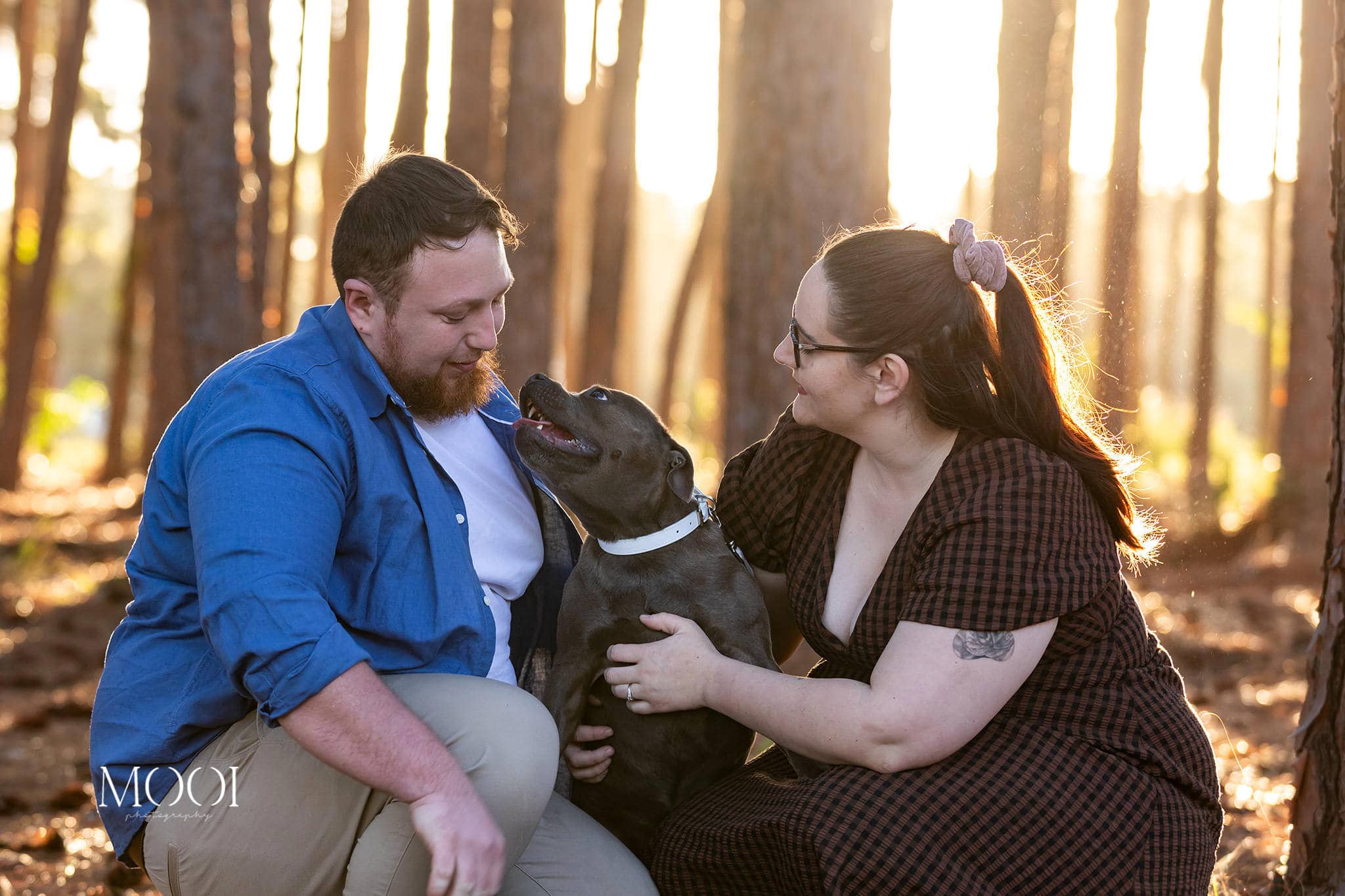 Engagement shoot at Pizzey Park with Tahlia and Peter and their fur baby.