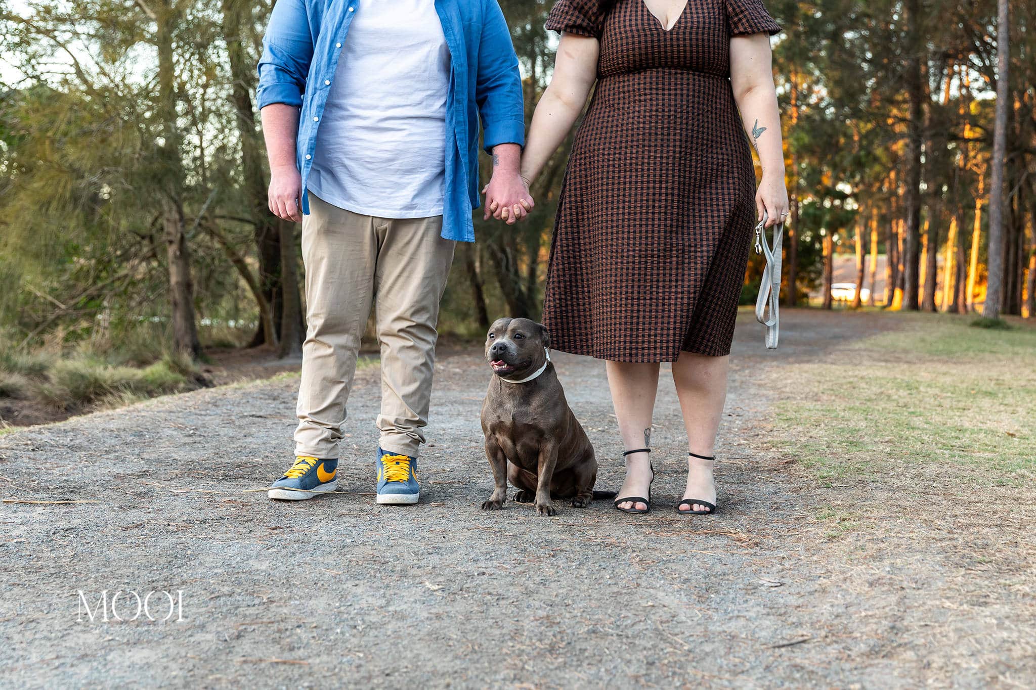 Engagement shoot at Pizzey Park with Tahlia and Peter and their fur baby.